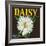 Daisy Brand Citrus Crate Label - Covina, CA-Lantern Press-Framed Art Print