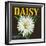 Daisy Brand Citrus Crate Label - Covina, CA-Lantern Press-Framed Art Print