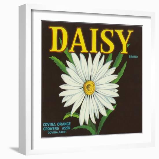 Daisy Brand Citrus Crate Label - Covina, CA-Lantern Press-Framed Art Print