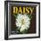 Daisy Brand Citrus Crate Label - Covina, CA-Lantern Press-Framed Art Print