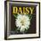 Daisy Brand Citrus Crate Label - Covina, CA-Lantern Press-Framed Art Print