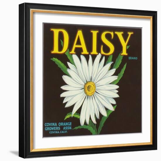 Daisy Brand Citrus Crate Label - Covina, CA-Lantern Press-Framed Art Print