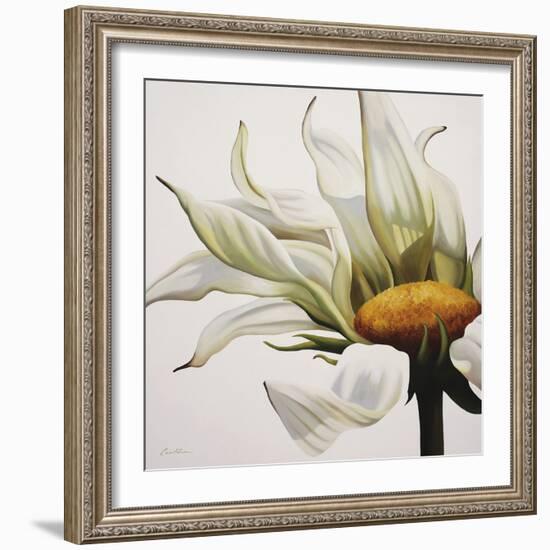 Daisy Breeze-Carolina Alotus-Framed Giclee Print