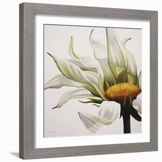 Daisy Breeze-Carolina Alotus-Framed Giclee Print