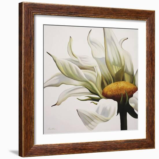 Daisy Breeze-Carolina Alotus-Framed Giclee Print