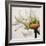 Daisy Breeze-Carolina Alotus-Framed Giclee Print