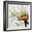 Daisy Breeze-Carolina Alotus-Framed Giclee Print