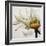 Daisy Breeze-Carolina Alotus-Framed Giclee Print