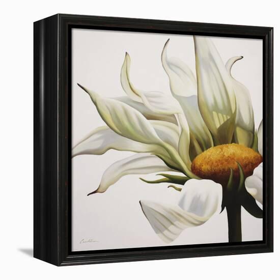 Daisy Breeze-Carolina Alotus-Framed Stretched Canvas