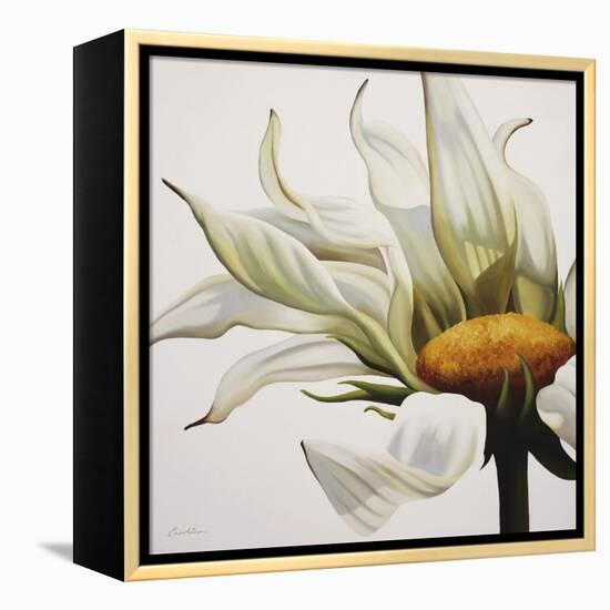 Daisy Breeze-Carolina Alotus-Framed Stretched Canvas