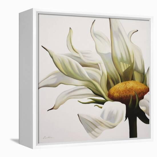 Daisy Breeze-Carolina Alotus-Framed Stretched Canvas