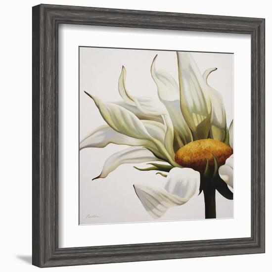 Daisy Breeze-Carolina Alotus-Framed Art Print