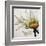 Daisy Breeze-Carolina Alotus-Framed Art Print