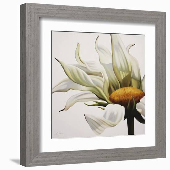 Daisy Breeze-Carolina Alotus-Framed Art Print