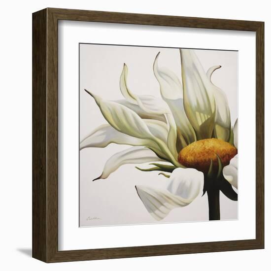 Daisy Breeze-Carolina Alotus-Framed Art Print