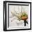 Daisy Breeze-Carolina Alotus-Framed Art Print