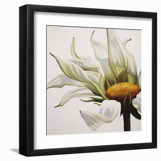 Daisy Breeze-Carolina Alotus-Framed Art Print