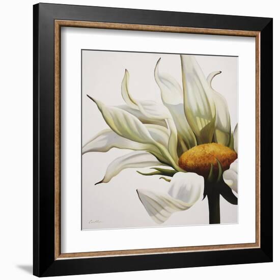 Daisy Breeze-Carolina Alotus-Framed Art Print