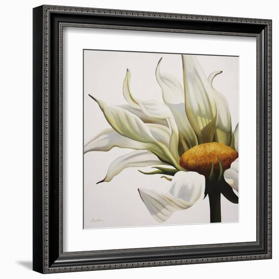 Daisy Breeze-Carolina Alotus-Framed Art Print