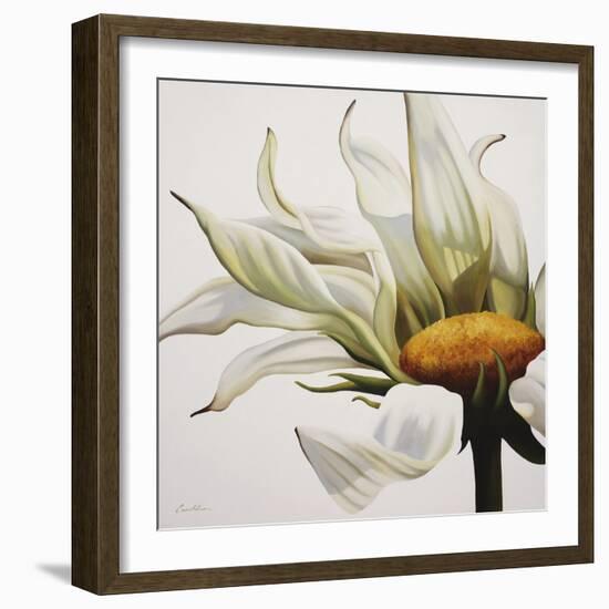 Daisy Breeze-Carolina Alotus-Framed Art Print