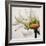 Daisy Breeze-Carolina Alotus-Framed Art Print