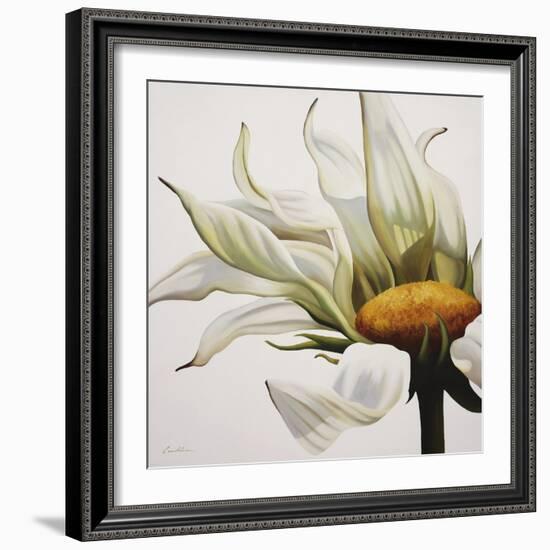 Daisy Breeze-Carolina Alotus-Framed Art Print