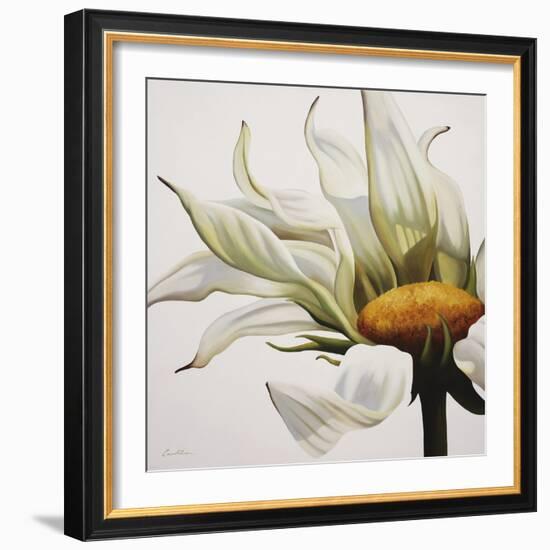 Daisy Breeze-Carolina Alotus-Framed Art Print