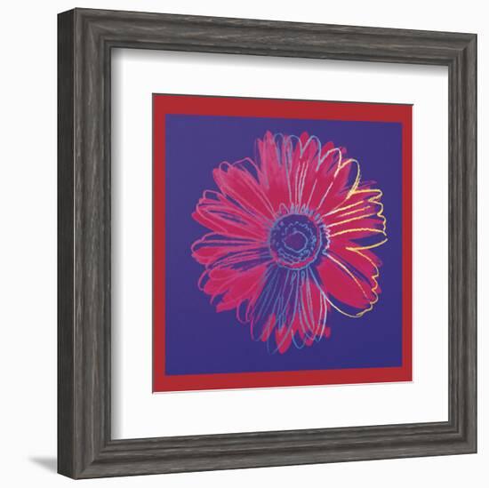 Daisy, c.1982  (blue and red)-Andy Warhol-Framed Art Print