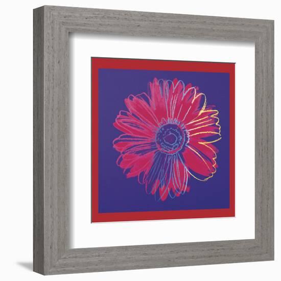 Daisy, c.1982  (blue and red)-Andy Warhol-Framed Art Print