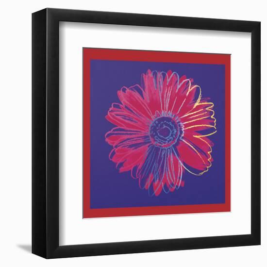 Daisy, c.1982  (blue and red)-Andy Warhol-Framed Art Print