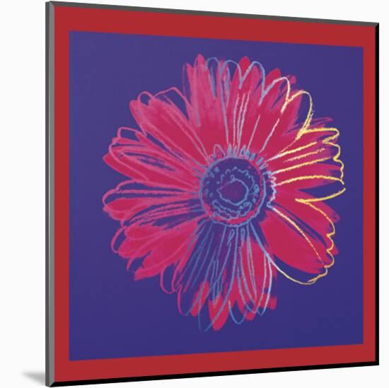 Daisy, c.1982  (blue and red)-Andy Warhol-Mounted Art Print