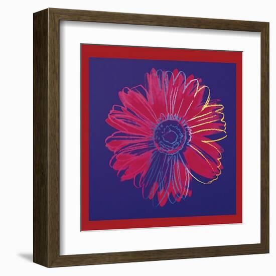 Daisy, c.1982 (Blue and Red)-Andy Warhol-Framed Giclee Print