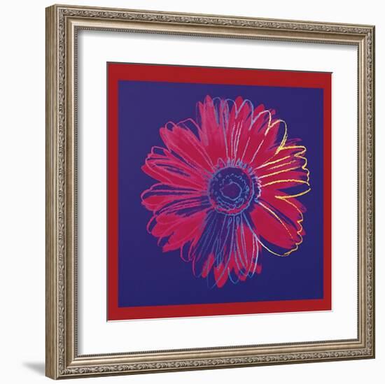 Daisy, c.1982 (Blue and Red)-Andy Warhol-Framed Giclee Print