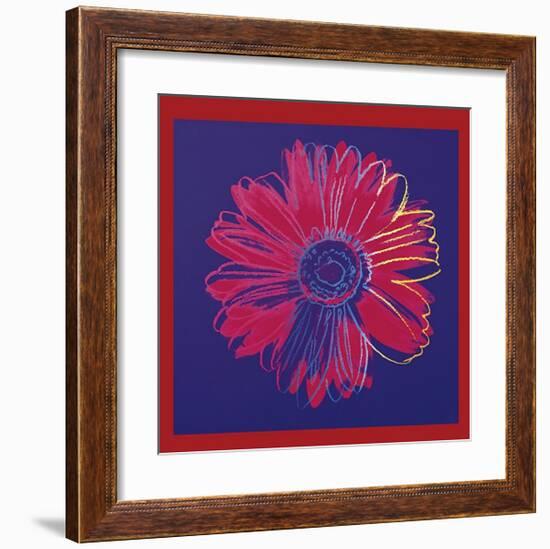 Daisy, c.1982 (Blue and Red)-Andy Warhol-Framed Giclee Print