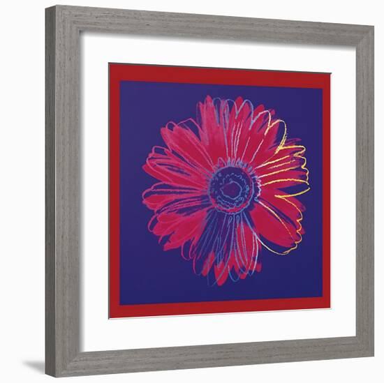 Daisy, c.1982 (Blue and Red)-Andy Warhol-Framed Giclee Print