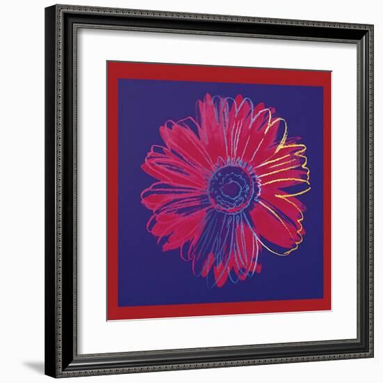 Daisy, c.1982 (Blue and Red)-Andy Warhol-Framed Giclee Print