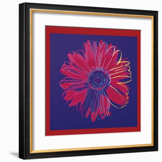 Daisy, c.1982 (Blue and Red)-Andy Warhol-Framed Giclee Print