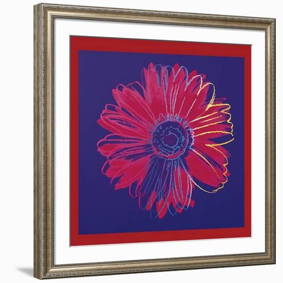 Daisy, c.1982 (Blue and Red)-Andy Warhol-Framed Giclee Print