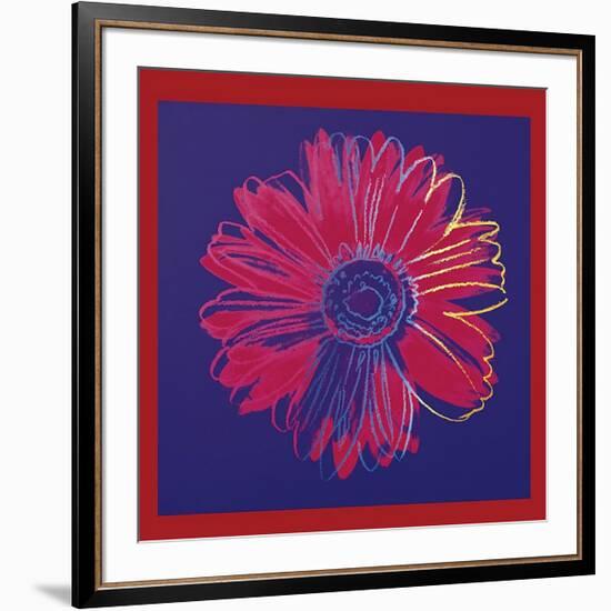 Daisy, c.1982 (Blue and Red)-Andy Warhol-Framed Giclee Print