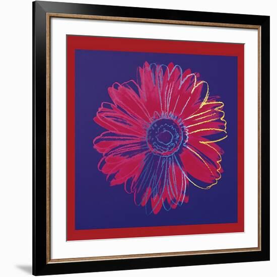 Daisy, c.1982 (Blue and Red)-Andy Warhol-Framed Giclee Print