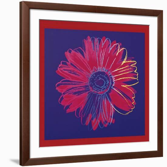 Daisy, c.1982 (Blue and Red)-Andy Warhol-Framed Giclee Print