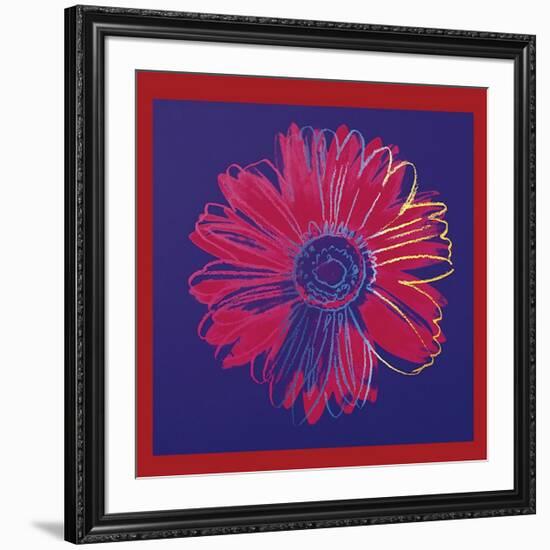 Daisy, c.1982 (Blue and Red)-Andy Warhol-Framed Giclee Print