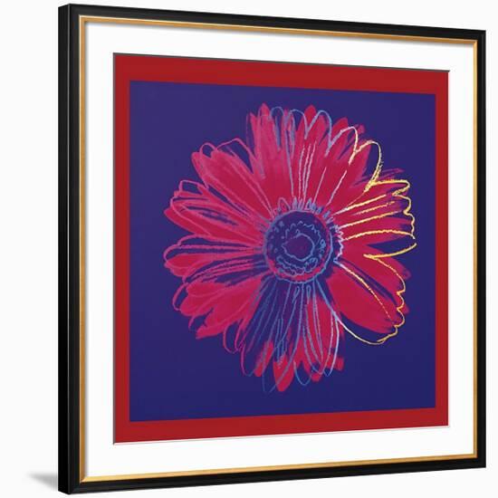 Daisy, c.1982 (Blue and Red)-Andy Warhol-Framed Giclee Print