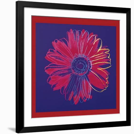 Daisy, c.1982 (Blue and Red)-Andy Warhol-Framed Giclee Print