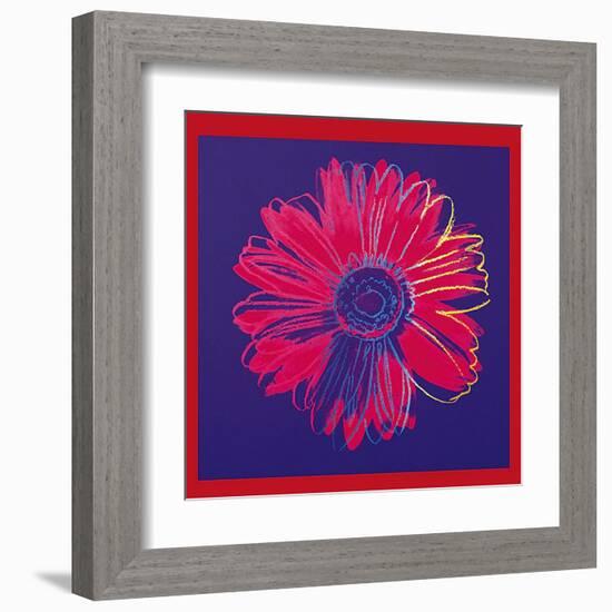 Daisy, c.1982 (Blue and Red)-Andy Warhol-Framed Art Print