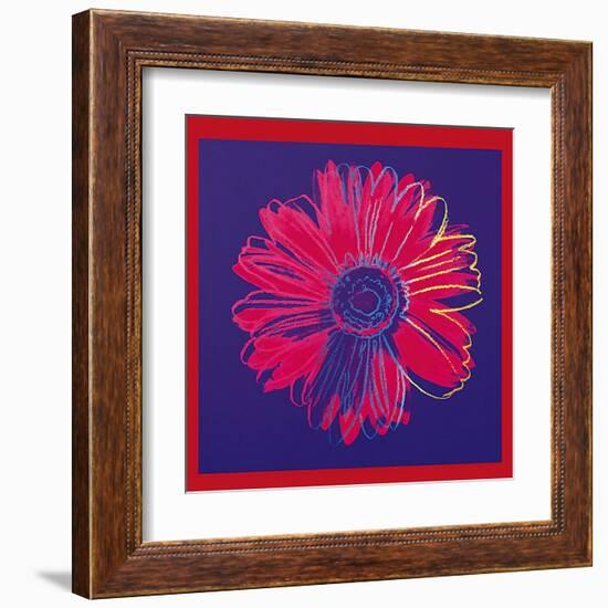 Daisy, c.1982 (Blue and Red)-Andy Warhol-Framed Art Print