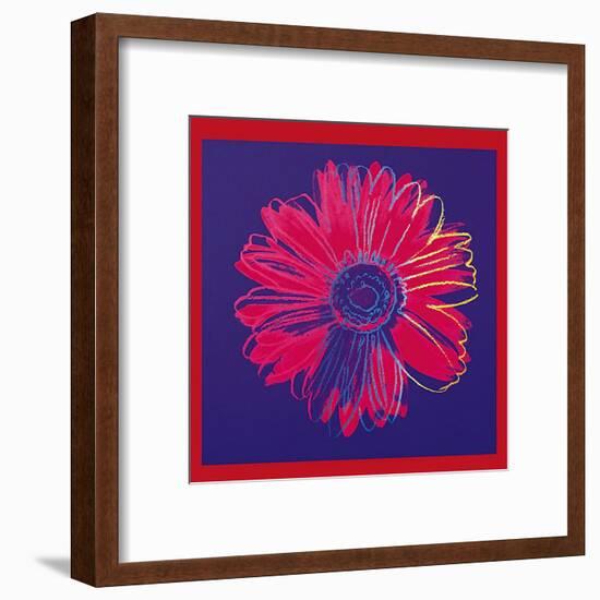 Daisy, c.1982 (Blue and Red)-Andy Warhol-Framed Art Print