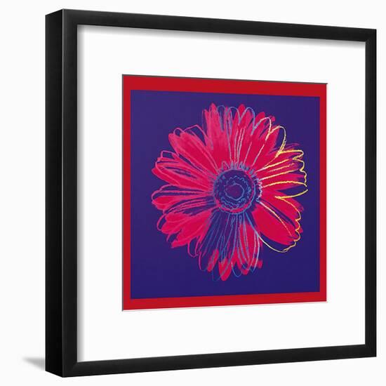 Daisy, c.1982 (Blue and Red)-Andy Warhol-Framed Art Print