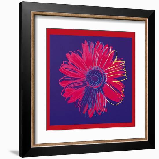 Daisy, c.1982 (Blue and Red)-Andy Warhol-Framed Art Print