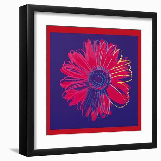 Daisy, c.1982 (Blue and Red)-Andy Warhol-Framed Art Print